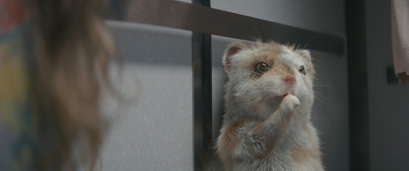 KIA MOTORS’ MUSIC-LOVING HAMSTERS WELCOME A NEW MEMBER TO THE FAMILY IN MARKETING CAMPAIGN FOR THE TURBOCHARGED SOUL 