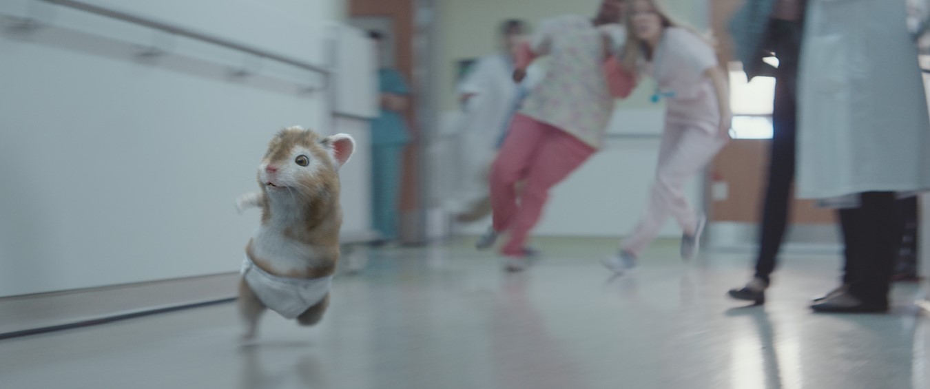 KIA MOTORS’ MUSIC-LOVING HAMSTERS WELCOME A NEW MEMBER TO THE FAMILY IN MARKETING CAMPAIGN FOR THE TURBOCHARGED SOUL 