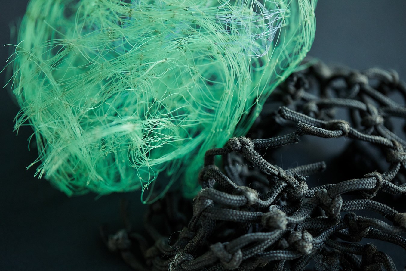Kia's 10 must-have sustainability items (recycled fishing nets
